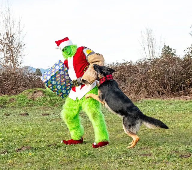 RVSC Christmas Party — December 23, 2023 — club members, working dogs, Santa, the Grinch and festive field activities — photo 046