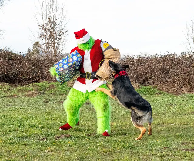 RVSC Christmas Party — December 23, 2023 — club members, working dogs, Santa, the Grinch and festive field activities — photo 047