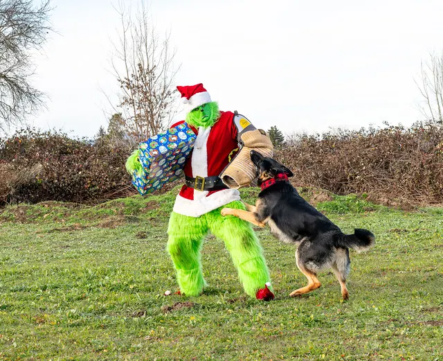 RVSC Christmas Party — December 23, 2023 — club members, working dogs, Santa, the Grinch and festive field activities — photo 048