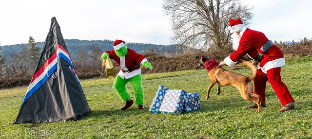 RVSC Christmas Party — December 23, 2023 — club members, working dogs, Santa, the Grinch and festive field activities — photo 055