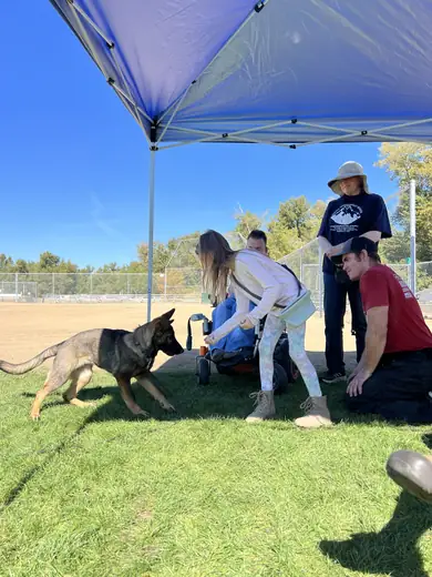 Rogue Valley Schutzhund Club members and working dogs gathered for a club event — photo 06