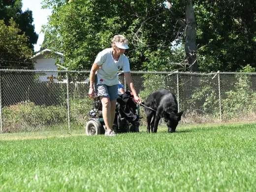 Working dog and handler practicing obedience during Rogue Valley Schutzhund Club training — photo 01