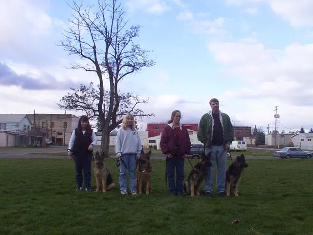 Pre-RVSC Working-Dog Training — 2001 — early club members, German Shepherds, obedience foundations and field training — photo 002