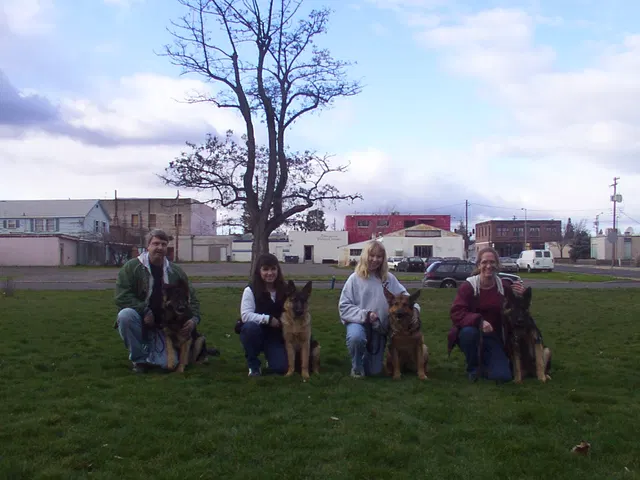 Pre-RVSC Working-Dog Training — 2001 — early club members, German Shepherds, obedience foundations and field training — photo 003
