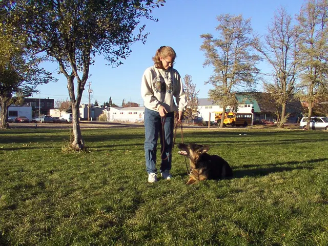 Pre-RVSC Working-Dog Training — 2001 — early club members, German Shepherds, obedience foundations and field training — photo 004