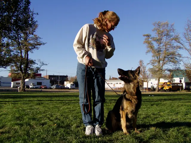 Pre-RVSC Working-Dog Training — 2001 — early club members, German Shepherds, obedience foundations and field training — photo 005