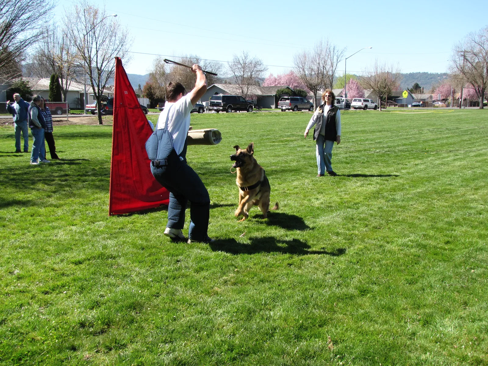 RVSC Club Training Throughout 2008 historical working-dog training