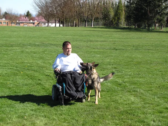 Rogue Valley Schutzhund Club 2008 training archive — working-dog photo 001