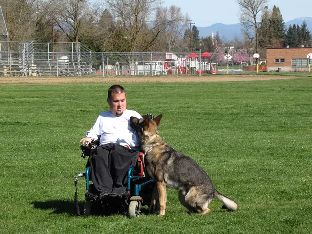 Rogue Valley Schutzhund Club 2008 training archive — working-dog photo 002