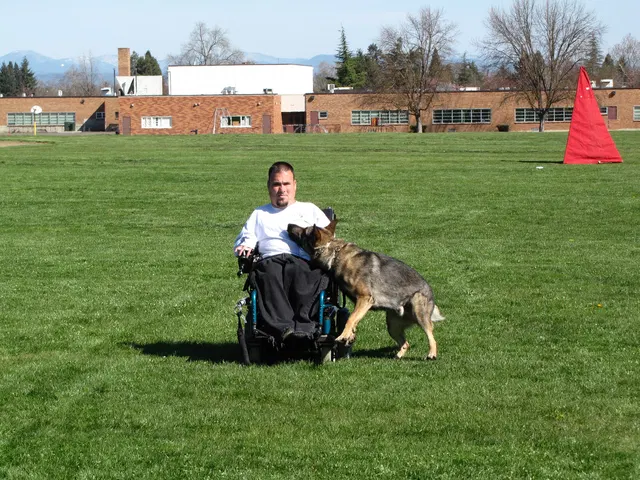 Rogue Valley Schutzhund Club 2008 training archive — working-dog photo 005