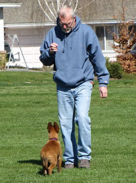 Rogue Valley Schutzhund Club 2008 training archive — working-dog photo 007