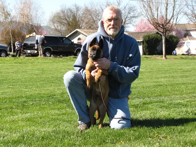Rogue Valley Schutzhund Club 2008 training archive — working-dog photo 013