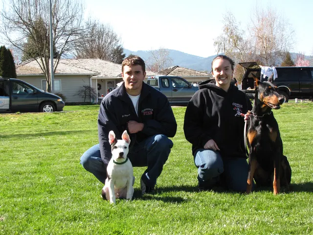 Rogue Valley Schutzhund Club 2008 training archive — working-dog photo 014