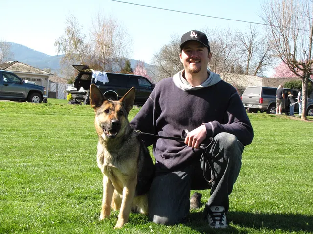 Rogue Valley Schutzhund Club 2008 training archive — working-dog photo 015