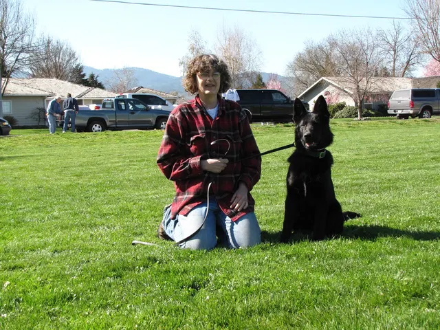 Rogue Valley Schutzhund Club 2008 training archive — working-dog photo 016