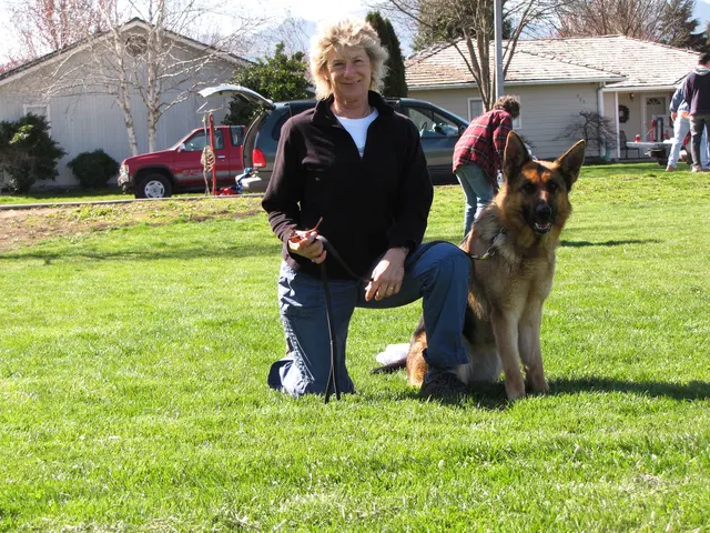Rogue Valley Schutzhund Club 2008 training archive — working-dog photo 021