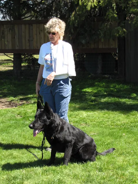 Rogue Valley Schutzhund Club 2008 training archive — working-dog photo 035