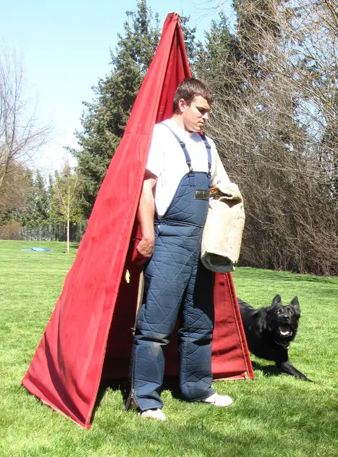 Rogue Valley Schutzhund Club 2008 training archive — working-dog photo 039