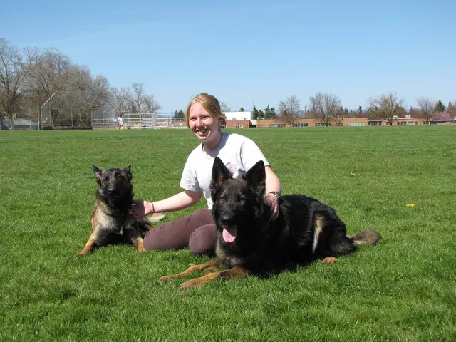 Rogue Valley Schutzhund Club 2008 training archive — working-dog photo 058