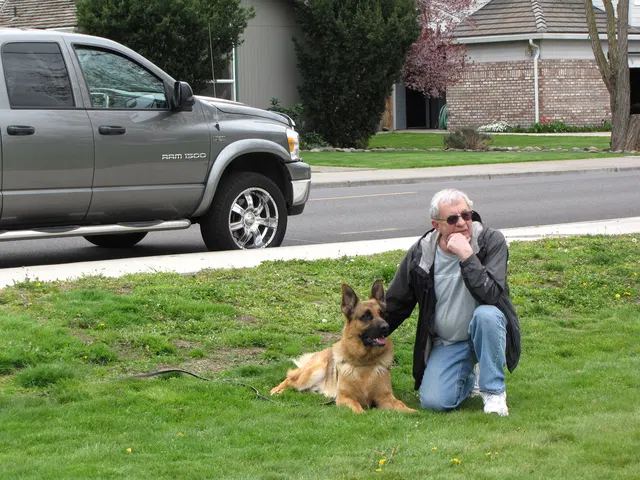Rogue Valley Schutzhund Club 2008 training archive — working-dog photo 061