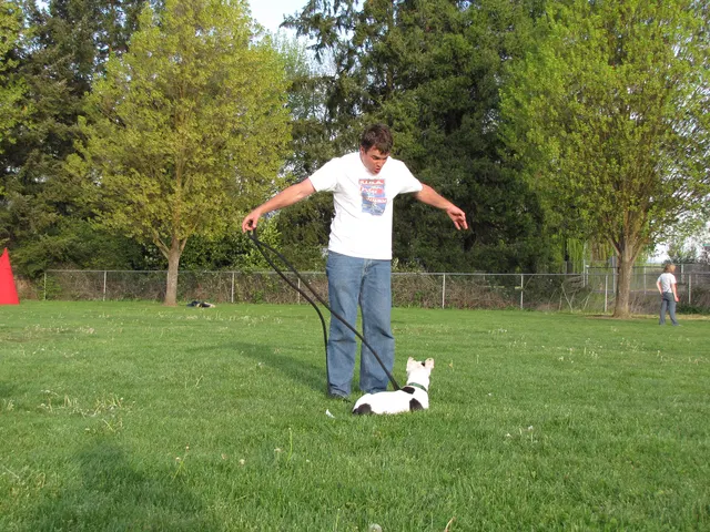 Rogue Valley Schutzhund Club 2008 training archive — working-dog photo 082