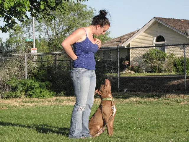 Rogue Valley Schutzhund Club 2008 training archive — working-dog photo 095