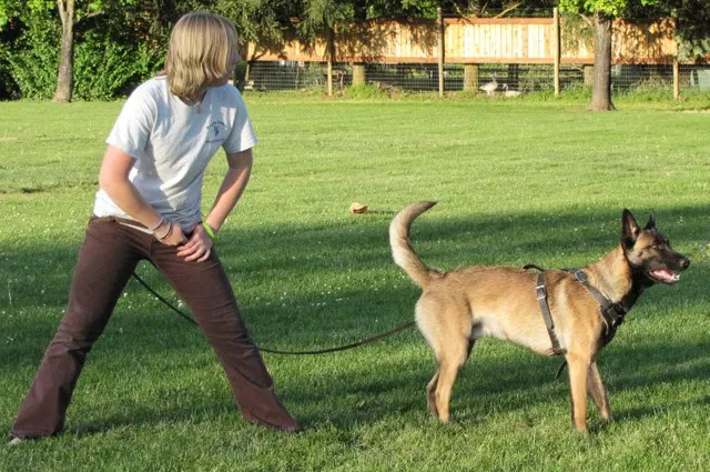 Rogue Valley Schutzhund Club 2008 training archive — working-dog photo 103