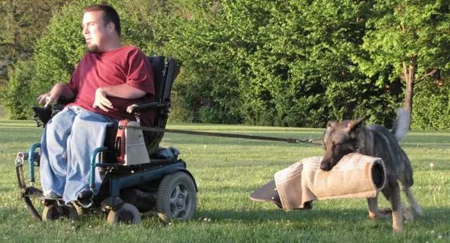 Rogue Valley Schutzhund Club 2008 training archive — working-dog photo 112