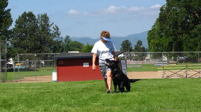 Rogue Valley Schutzhund Club 2008 training archive — working-dog photo 119