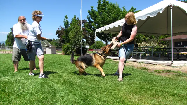 Rogue Valley Schutzhund Club 2008 training archive — working-dog photo 121