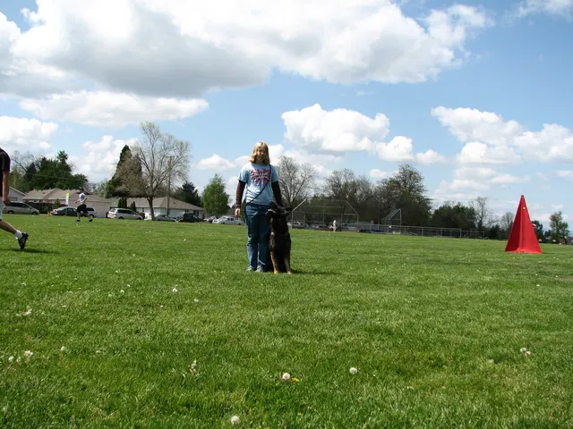 Rogue Valley Schutzhund Club 2008 training archive — working-dog photo 122