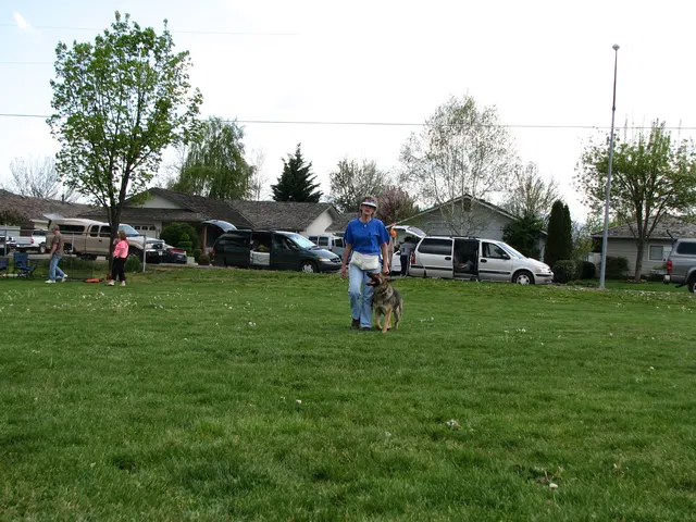 Rogue Valley Schutzhund Club 2008 training archive — working-dog photo 123