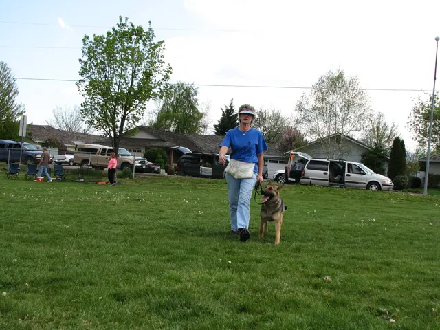 Rogue Valley Schutzhund Club 2008 training archive — working-dog photo 124