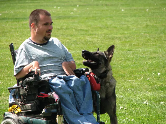 Rogue Valley Schutzhund Club 2008 training archive — working-dog photo 125