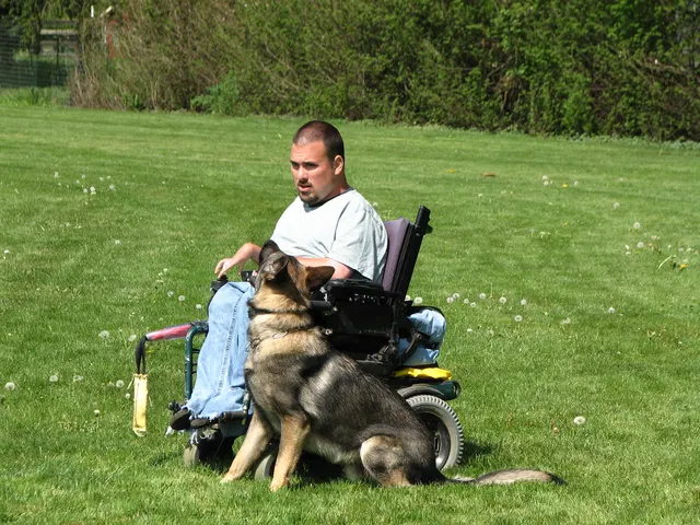 Rogue Valley Schutzhund Club 2008 training archive — working-dog photo 126