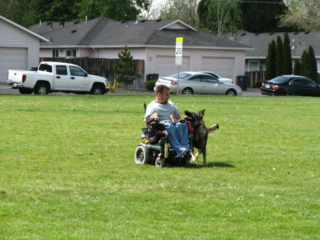 Rogue Valley Schutzhund Club 2008 training archive — working-dog photo 127