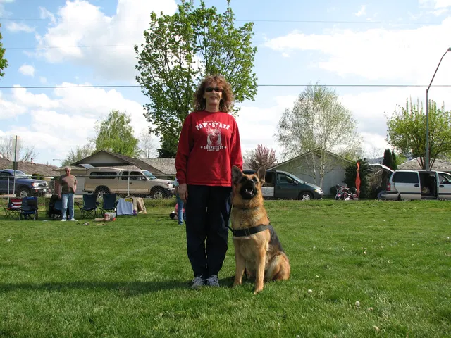 Rogue Valley Schutzhund Club 2008 training archive — working-dog photo 132