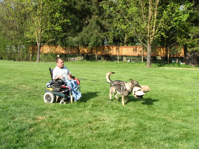 Rogue Valley Schutzhund Club 2008 training archive — working-dog photo 143