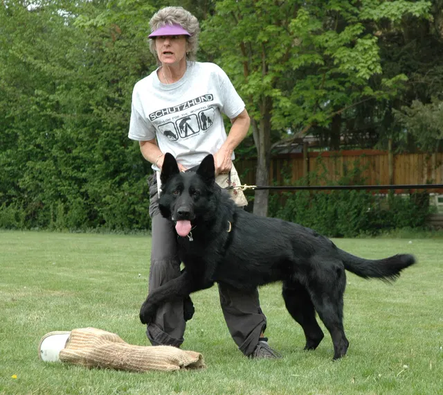 Rogue Valley Schutzhund Club 2008 training archive — working-dog photo 155