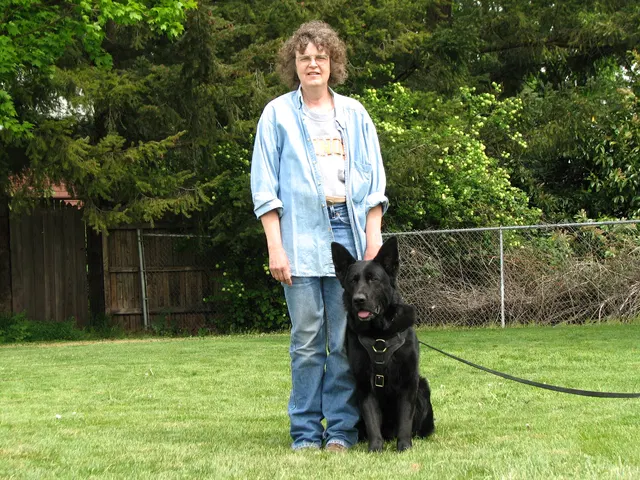 Rogue Valley Schutzhund Club 2008 training archive — obedience, field work and protection foundations — photo 168