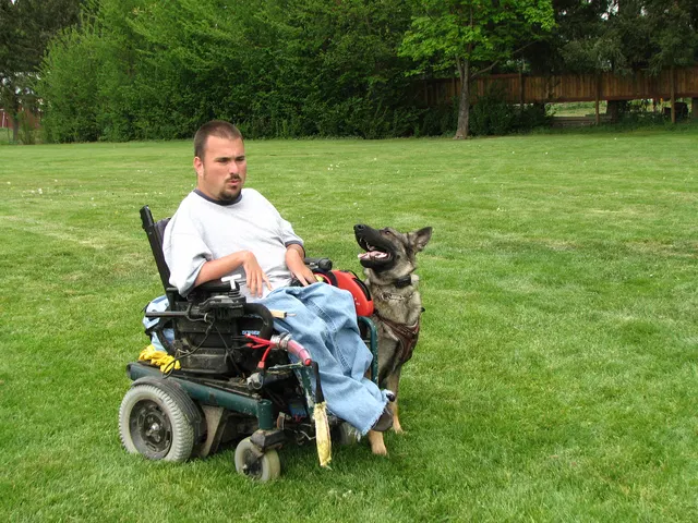 Rogue Valley Schutzhund Club 2008 training archive — obedience, field work and protection foundations — photo 169