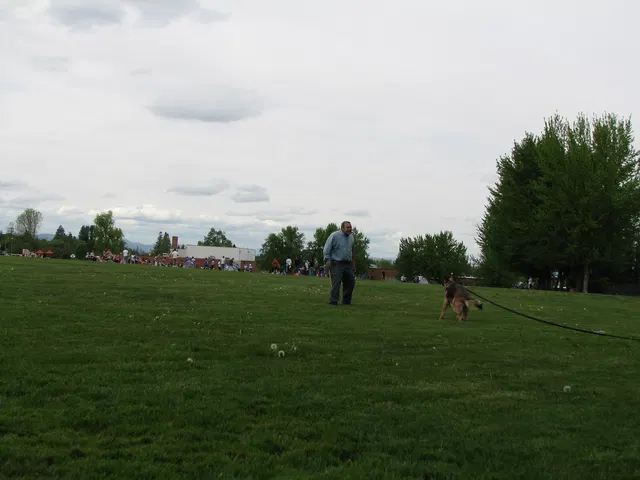 Rogue Valley Schutzhund Club 2008 training archive — obedience, field work and protection foundations — photo 174