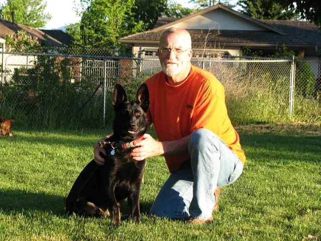 Rogue Valley Schutzhund Club 2008 training archive — obedience, field work and protection foundations — photo 179