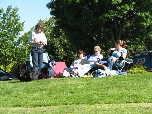Rogue Valley Schutzhund Club 2008 training archive — obedience, field work and protection foundations — photo 184