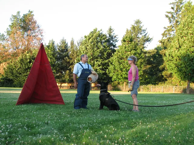 Rogue Valley Schutzhund Club 2008 training archive — obedience, field work and protection foundations — photo 193