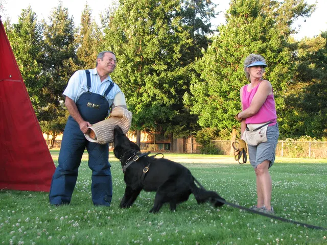 Rogue Valley Schutzhund Club 2008 training archive — obedience, field work and protection foundations — photo 195