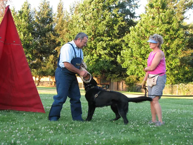 Rogue Valley Schutzhund Club 2008 training archive — obedience, field work and protection foundations — photo 197
