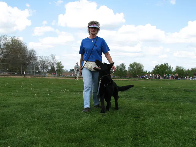 Rogue Valley Schutzhund Club 2008 training archive — obedience, field work and protection foundations — photo 203