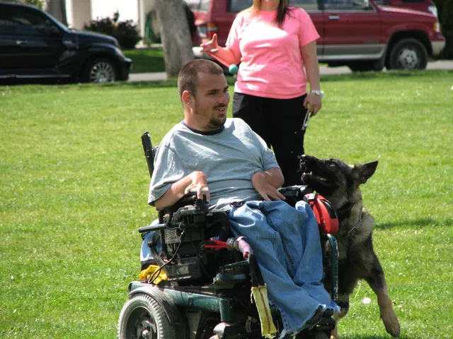 Rogue Valley Schutzhund Club 2008 training archive — obedience, field work and protection foundations — photo 205