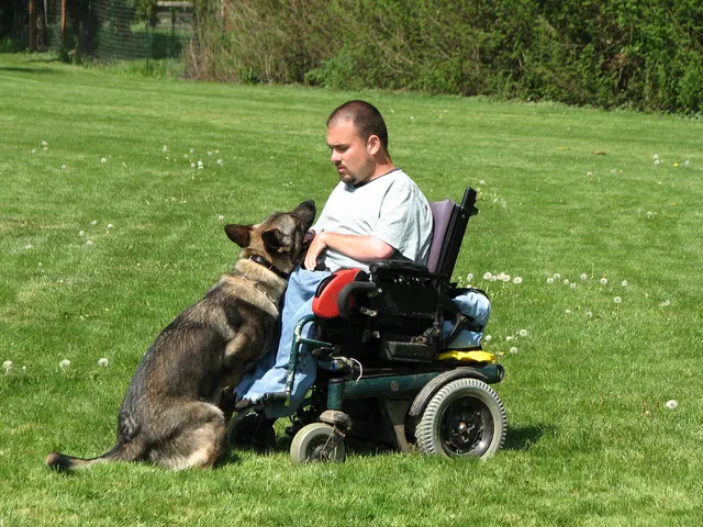 Rogue Valley Schutzhund Club 2008 training archive — obedience, field work and protection foundations — photo 206